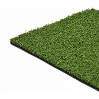 Artificial Grass Door Mat 0.5x0.75m
Artificial Grass Door Mat 0.5x0.75m