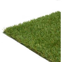 Premium Artificial Grass 4mx1m Roll
Premium Artificial Grass 4mx1m Roll