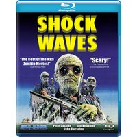 Shock Waves
Shock Waves