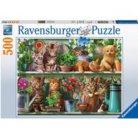 Ravensburger Cats on the Shelf 500 piece Jigsaw Puzzle
Ravensburger Cats on the Shelf 500 piece Jigsaw Puzzle