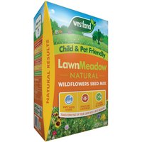 Westland Lawn Meadow Mix - 40m²
Westland Lawn Meadow Mix - 40m²