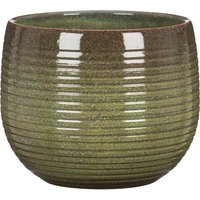 Jungle Green Plant Pot - 21cm
Jungle Green Plant Pot - 21cm