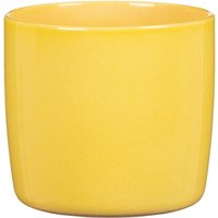 Yellow Solare Plant Pot - 18cm
Yellow Solare Plant Pot - 18cm
