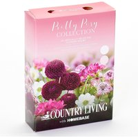 Pretty Posy Collection Flower Bulbs
Pretty Posy Collection Flower Bulbs