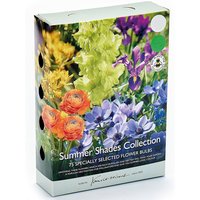 Summer Shades Flower Bulb Collection
Summer Shades Flower Bulb Collection