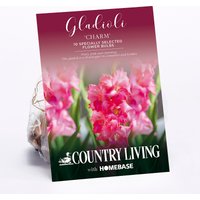 Gladioli Charm Flower Bulbs
Gladioli Charm Flower Bulbs