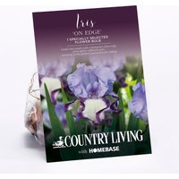 Iris On Edge Flower Bulb
Iris On Edge Flower Bulb