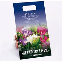 Freesia Pastel Mixed Flower Bulbs
Freesia Pastel Mixed Flower Bulbs