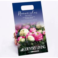 Ranunculus Mixed Flower Bulbs
Ranunculus Mixed Flower Bulbs