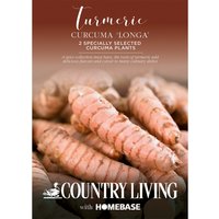 Country Living Turmeric 'Curcuma Longa'
Country Living Turmeric 'Curcuma Longa'