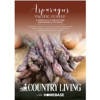 Country Living Asparagus 'Pacific Purple'
Country Living Asparagus 'Pacific Purple'