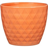 Sunbury Elegance Papaya 14cm Plant Pot
Sunbury Elegance Papaya 14cm Plant Pot