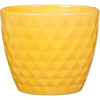 Sunbury Elegance Yellow 14cm Plant Pot
Sunbury Elegance Yellow 14cm Plant Pot