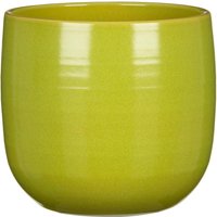 Fulham Avocado Plant Pot - 18cm
Fulham Avocado Plant Pot - 18cm