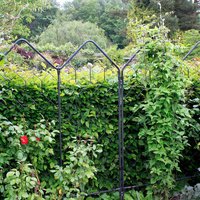 Agriframes Alpine Garden Screen - 1.2m x 1.7m - Black
Agriframes Alpine Garden Screen - 1.2m x 1.7m - Black