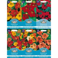 Nasturtiums Seeds Bundle
Nasturtiums Seeds Bundle