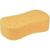 Jumbo sponge
Jumbo sponge