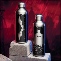 The Batman Metal Water Bottle
The Batman Metal Water Bottle