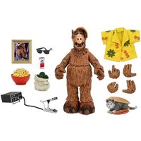NECA Alf Alien Life Form Ultimate 7 Inch Action Figure
NECA Alf Alien Life Form Ultimate 7 Inch Action Figure