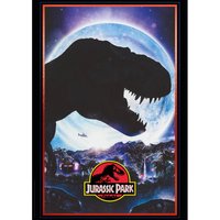 Fanattik Jurassic Park Limited Edition Art Print
Fanattik Jurassic Park Limited Edition Art Print