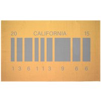 Decorsome x Back to the Future DeLorean Future License Plate Woven Rug - Small
Decorsome x Back to the Future DeLorean Future License Plate Woven Rug - Small