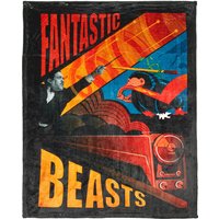 Decorsome x Fantastic Beasts Photographic Fleece Blanket - S 
Decorsome x Fantastic Beasts Photographic Fleece Blanket - S