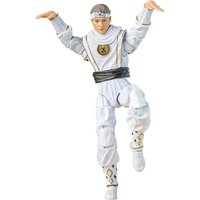 Hasbro Power Rangers Lightning Collection Mighty Morphin X Cobra Kai Daniel LaRusso White Crane Ranger Action Figure 
Hasbro Power Rangers Lightning Collection Mighty Morphin X Cobra Kai Daniel LaRusso White Crane Ranger Action Figure
