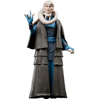 Hasbro Star Wars The Black Series Bib Fortuna Action Figure
Hasbro Star Wars The Black Series Bib Fortuna Action Figure