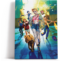 Decorsome x Birds Of Prey Cast Rectangular Canvas - 20x30 inch
Decorsome x Birds Of Prey Cast Rectangular Canvas - 20x30 inch