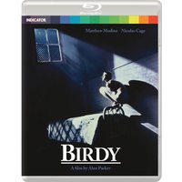 Birdy (Standard Edition)
Birdy (Standard Edition)