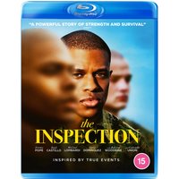 The Inspection
The Inspection