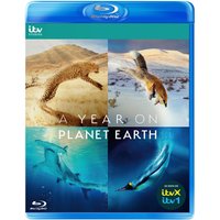 A Year on Planet Earth
A Year on Planet Earth