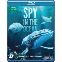 Spy in the Ocean
Spy in the Ocean
