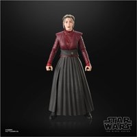 Hasbro Star Wars The Black Series Morgan Elsbeth Star Wars Action Figures (6”)
Hasbro Star Wars The Black Series Morgan Elsbeth Star Wars Action Figures (6”)