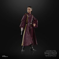 Hasbro Star Wars The Black Series Padmé Amidala Action Figure (6”)
Hasbro Star Wars The Black Series Padmé Amidala Action Figure (6”)