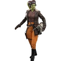 Hot Toys 1:6 Scale Star Wars Ahsoka Hera Syndulla Statue
Hot Toys 1:6 Scale Star Wars Ahsoka Hera Syndulla Statue