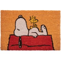 Doormat Snoopy
Doormat Snoopy
