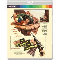 A Bullet Is Waiting
A Bullet Is Waiting