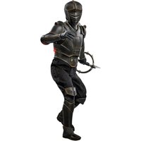 Hot Toys 1:6 Scale Star Wars Ahsoka Marrok Statue
Hot Toys 1:6 Scale Star Wars Ahsoka Marrok Statue