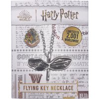 Harry Potter Flying Key Necklace
Harry Potter Flying Key Necklace