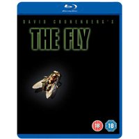 The Fly
The Fly