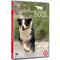 Extraordinary Dogs
Extraordinary Dogs