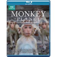Monkey Planet
Monkey Planet