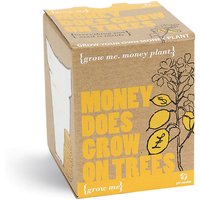Grow Me Money Does Grow On Trees
Grow Me Money Does Grow On Trees
