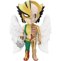 DC Comics XXRAY Figure Wave 5 Hawkgirl 10 cm
DC Comics XXRAY Figure Wave 5 Hawkgirl 10 cm