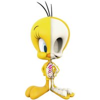Looney Tunes Tweety XXRAY Figure
Looney Tunes Tweety XXRAY Figure