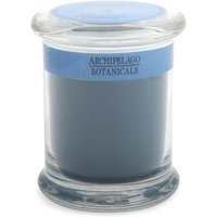 Декоративная ароматическая свеча в стеклянной баночке Archipelago Botanicals Excursions Jar Santorini Candle 244 г
Декоративная ароматическая свеча в стеклянной баночке Archipelago Botanicals Excursions Jar Santorini Candle 244 г