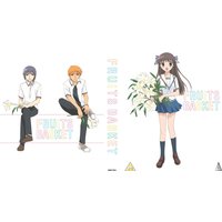 Fruits Basket Collector's Edition
Fruits Basket Collector's Edition