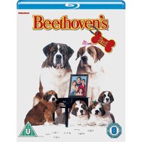 Beethoven's 2nd
Beethoven's 2nd