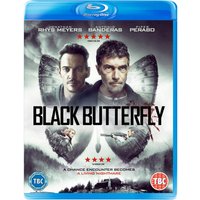 Black Butterfly
Black Butterfly